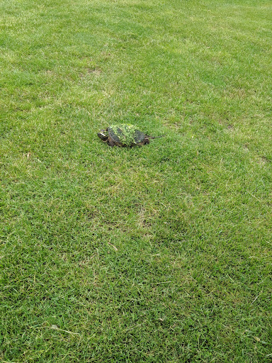 Public Golf Course «Neshaminy Valley Golf Club - OPEN to PUBLIC», reviews and photos, 440 Almshouse Rd, Richboro, PA 18954, USA