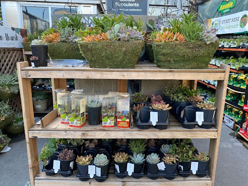 Home Improvement Store «The Home Depot», reviews and photos, 2 Colma Blvd, Colma, CA 94014, USA