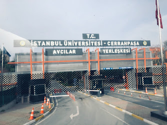 İstanbul Üniversitesi  Cerrahpaşa Avcılar Kampüsü