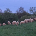 Photo n°2 de l'avis de Steve.r fait le 26/05/2022 à 03:23 sur le  Gemünder Ferienpark Salzberg à Schleiden