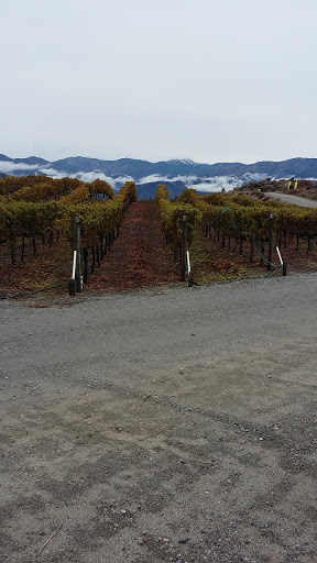 Winery «Benson Vineyards Estate Winery», reviews and photos, 754 Winesap Ave, Manson, WA 98831, USA