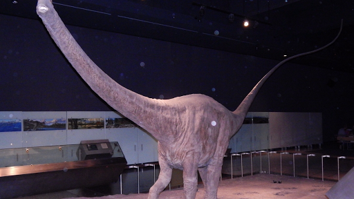 Museum «Museum of the City of New York», reviews and photos, 1220 5th Ave & 103rd St, New York, NY 10029, USA