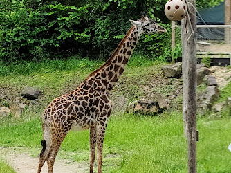 Cincinnati Zoo & Botanical Garden