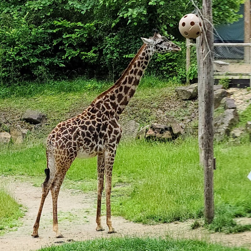 Cincinnati Zoo & Botanical Garden