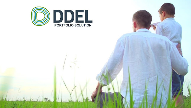 Beoordelingen van DDEL Portfolio Solution S.A./N.V. in Halle - Financieel adviseur