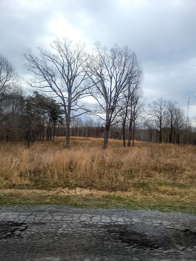 Nature Preserve «Elk and Bison Prairie», reviews and photos, Elk & Bison Prairie Rd, Golden Pond, KY 42211, USA