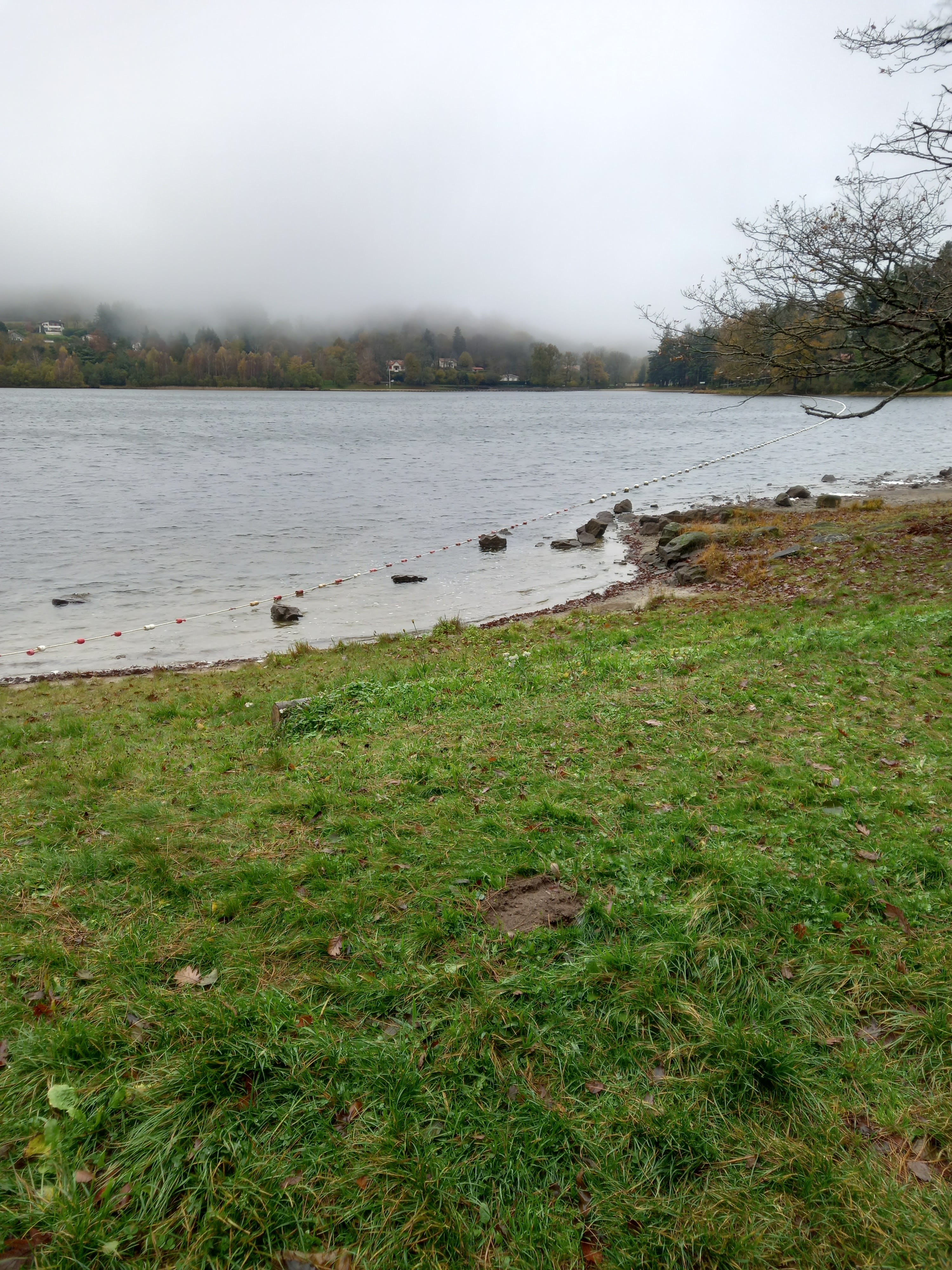 Photo n° 1 de l'avis de Roger.u fait le 14/11/2021 à 16:57