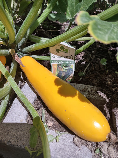 Produce Market «Kuwahara Farms», reviews and photos, 736 12300 S, Draper, UT 84020, USA