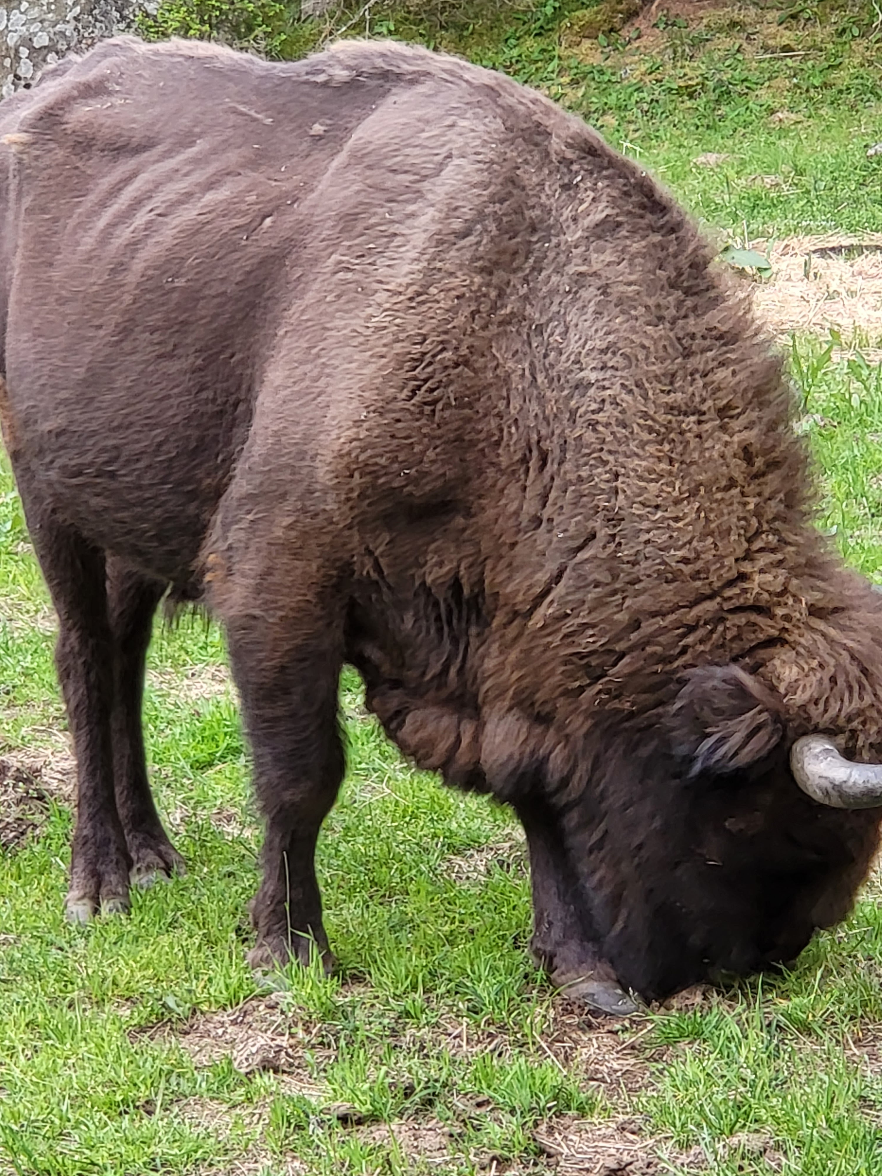 Photo n° 7 de l'avis de Joseph.e fait le 07/06/2023 à 21:11