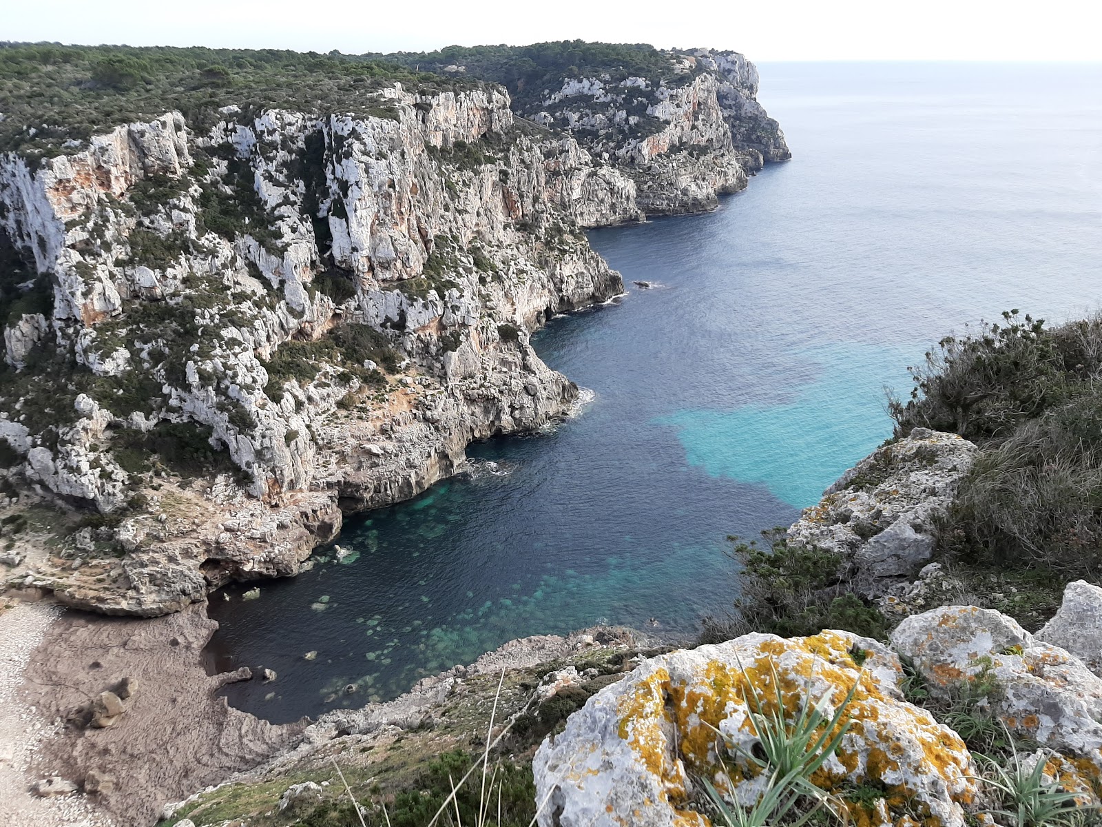 Foto von Cala de Ilucalari mit schmutzig Sauberkeitsgrad