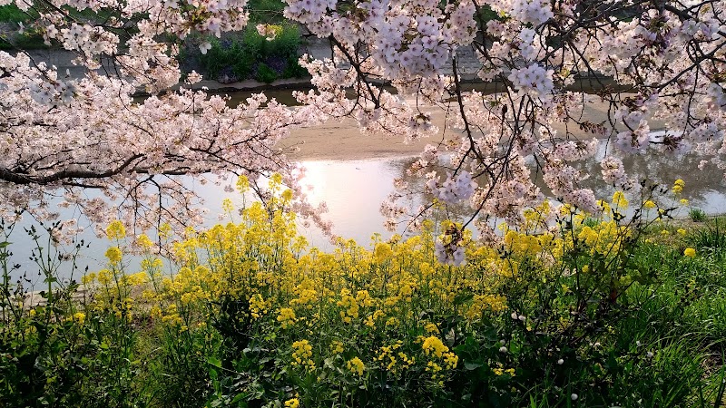 橿原運動公園 奈良県橿原市 公園 グルコミ