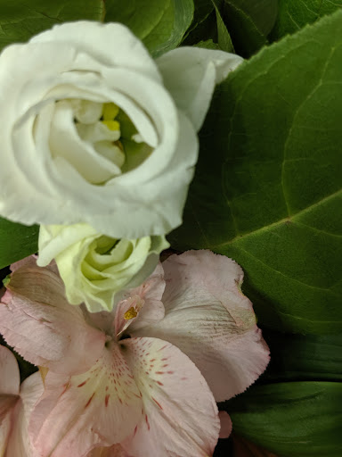 Florist «Oak Ridge Florist», reviews and photos, 5613 Berkshire Valley Rd, Oak Ridge, NJ 07438, USA
