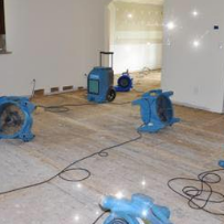 Bristol's Elite Carpet & Tile Cleaning - Photo 5 - Car repair in , Hialeah