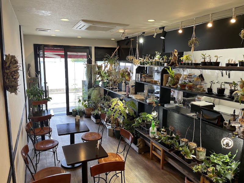 Plants Plan Cafe