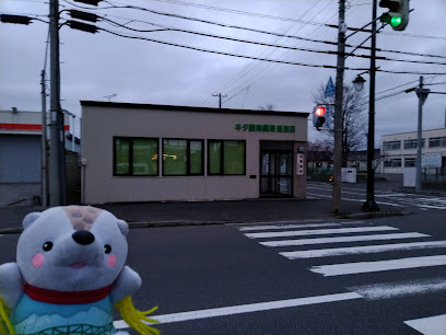 キタ調剤薬局遠別店