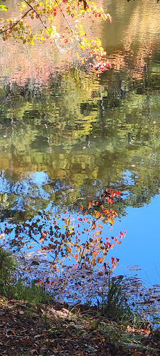 Wildlife Park «Charlie Elliott Wildlife Center», reviews and photos, 543 Elliott Trail, Mansfield, GA 30055, USA