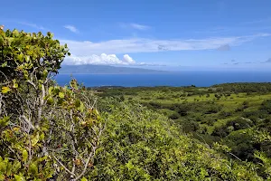 West Maui Forest Reserve image