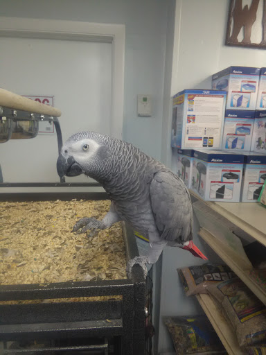 Pet Store «Animal Pet Shop Corporation», reviews and photos, 10843 SW 40th St, Miami, FL 33165, USA