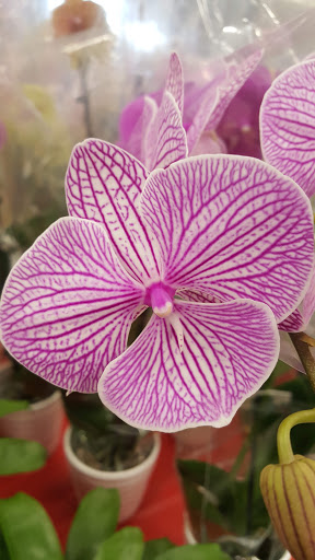 Home Improvement Store «The Home Depot», reviews and photos, 4700 17th Avenue SW, Fargo, ND 58103, USA