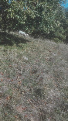 Cappella Rione Battista Rione Battista, 9, 85043 Cimitero PZ, Italia