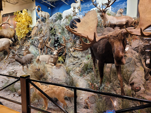 Outdoor Sports Store «Field & Stream», reviews and photos, 520 Clock Tower Way, Crescent Springs, KY 41017, USA