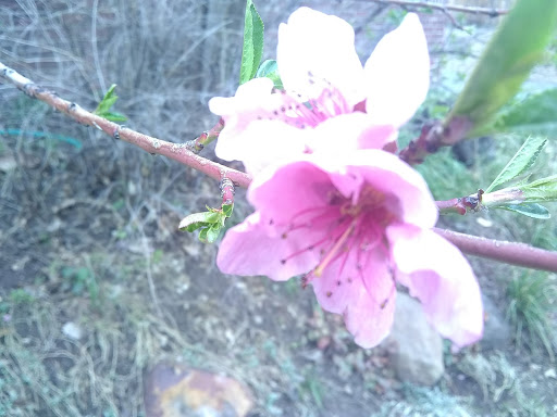 Bicycle Store «Bikes Together», reviews and photos, 2825 Fairfax St, Denver, CO 80207, USA