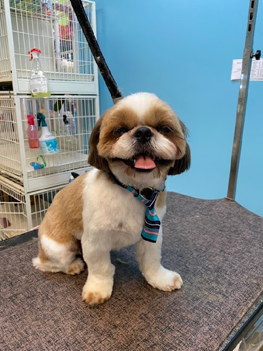 Pet Store «Canine Carousel», reviews and photos, 43135 Broadlands Center Plaza #129, Ashburn, VA 20148, USA