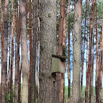 Photo n°3 de l'avis de Alexey.l fait le 14/08/2023 à 16:30 sur le  Asparagus and Erlebnishof Klaistow à Beelitz