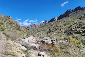 Sabino Canyon Recreation Area image