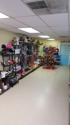 Animal Hospital «Animal Medical Corpus Christi», reviews and photos, 6822 Everhart Rd, Corpus Christi, TX 78413, USA