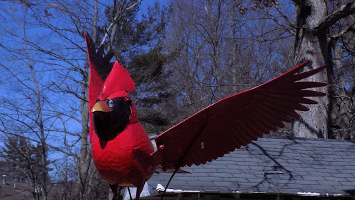 Florist «The Growth Co.», reviews and photos, 167 Hazard Ave, Enfield, CT 06082, USA