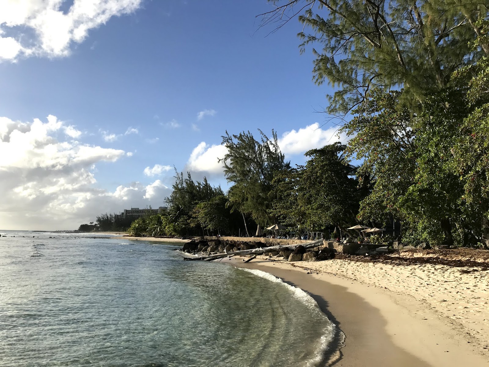 Drill Hall beach photo #8