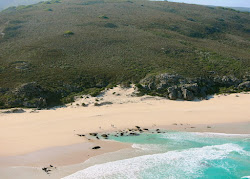Photo de Lekkerwater beach zone sauvage