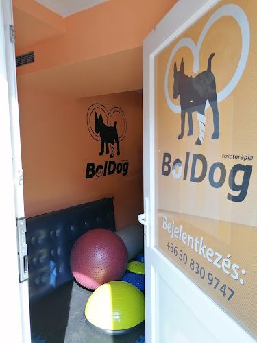 Értékelések erről a helyről: BolDog kutya fizioterápia, Győr - Építőipari vállalkozás