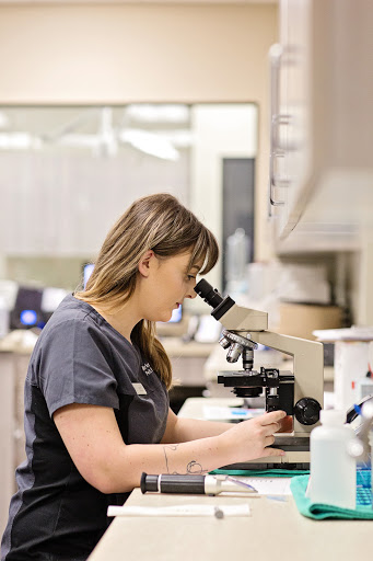 Pet Store «Market Street PET DEPOT», reviews and photos, 2979 S Market St, Gilbert, AZ 85295, USA