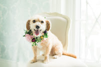 Keith & Melissa Photography and Videography - Photo 6 - Car repair in Lexington, KY, Lexington