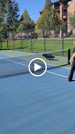 Park «Magnolia Park», reviews and photos, 1810 NW 192nd Ave, Hillsboro, OR 97124, USA