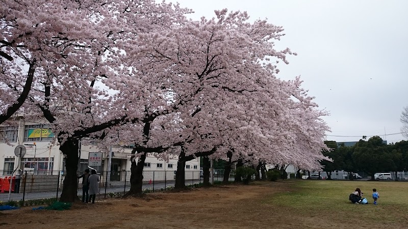 大島公園