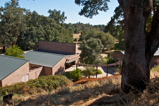 Nature Preserve «Effie Yeaw Nature Center», reviews and photos, 2850 San Lorenzo Way, Carmichael, CA 95608, USA