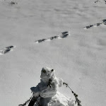 Photo n°2 de l'avis de Hubert-Wolfgang.� fait le 16/03/2023 à 14:55 sur le  Alpengasthof Hörmoos Inh. Fam.Klaus Schneider à Oberstaufen