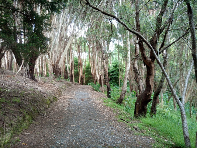 Reviews of Spicer Botanical Park in Porirua - Other