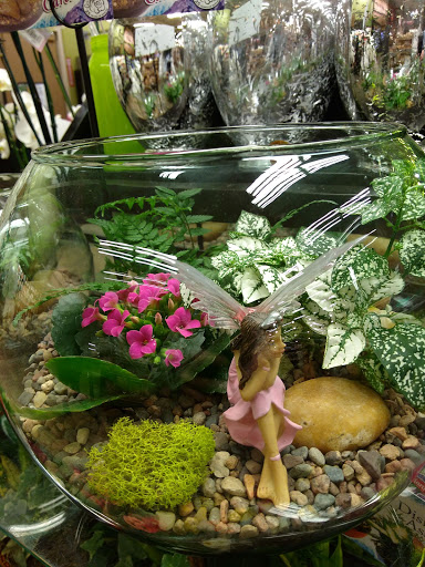 Shopping Mall «Airport Mall», reviews and photos, 1129 Union St, Bangor, ME 04401, USA