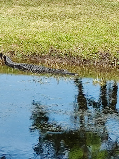 Stable «Lawton Stables», reviews and photos, 190 Greenwood Dr, Hilton Head Island, SC 29928, USA