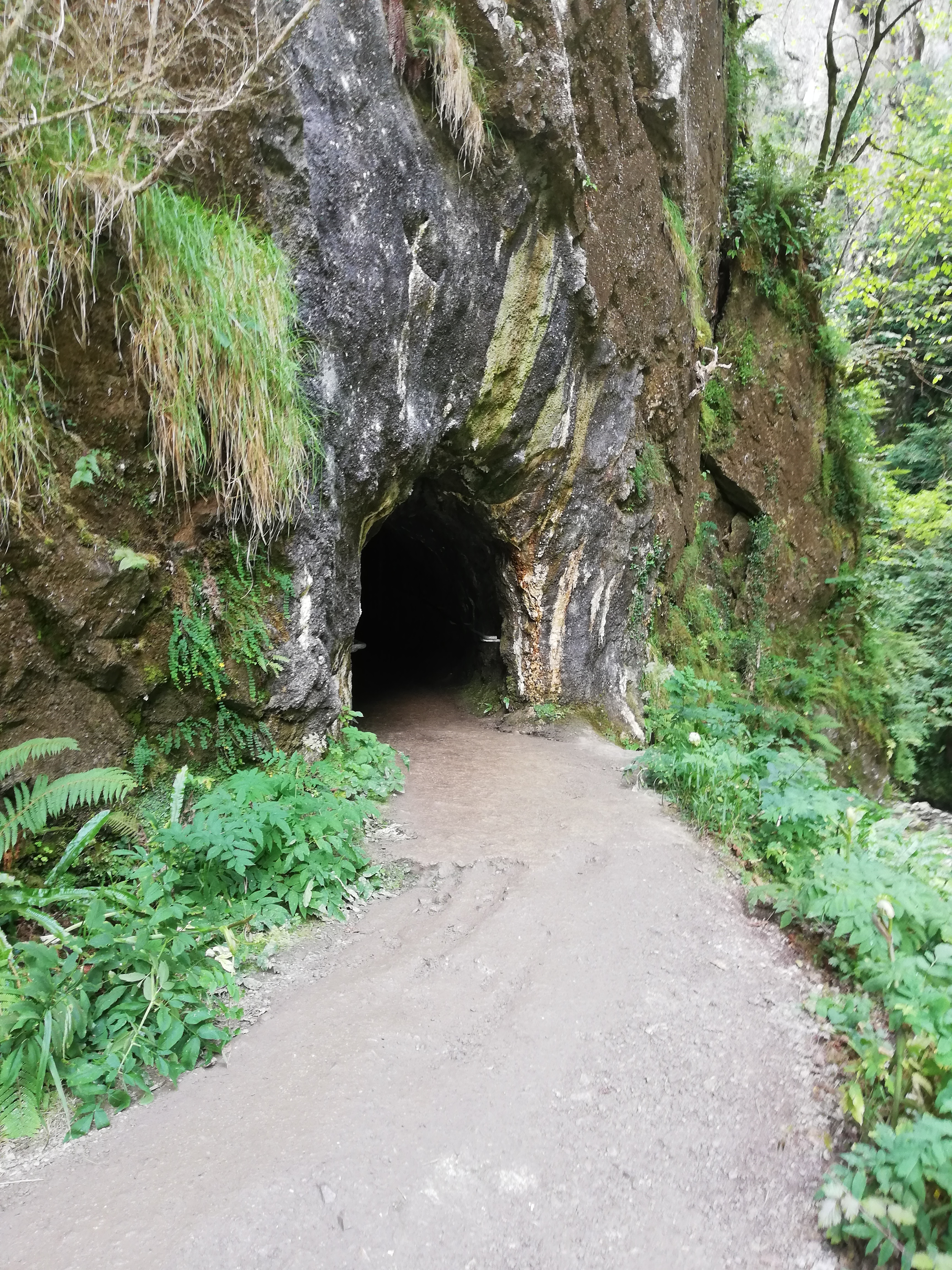 Photo n° 6 de l'avis de trucs.t fait le 22/07/2020 à 19:21