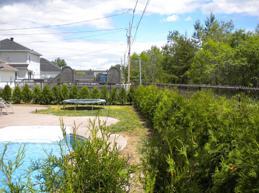 Garden center Cedres Dupont Inc in Trois-Rivières (QC) | LiveWay