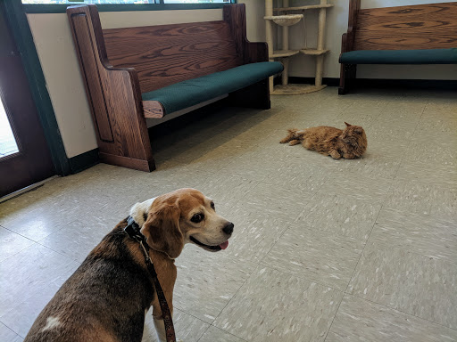 Pawcatuck Veterinary Clinic