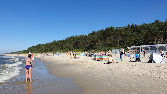 Beach at the Fishing Port