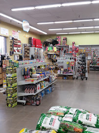 Ruggiero's Ace Hardware - Peoria