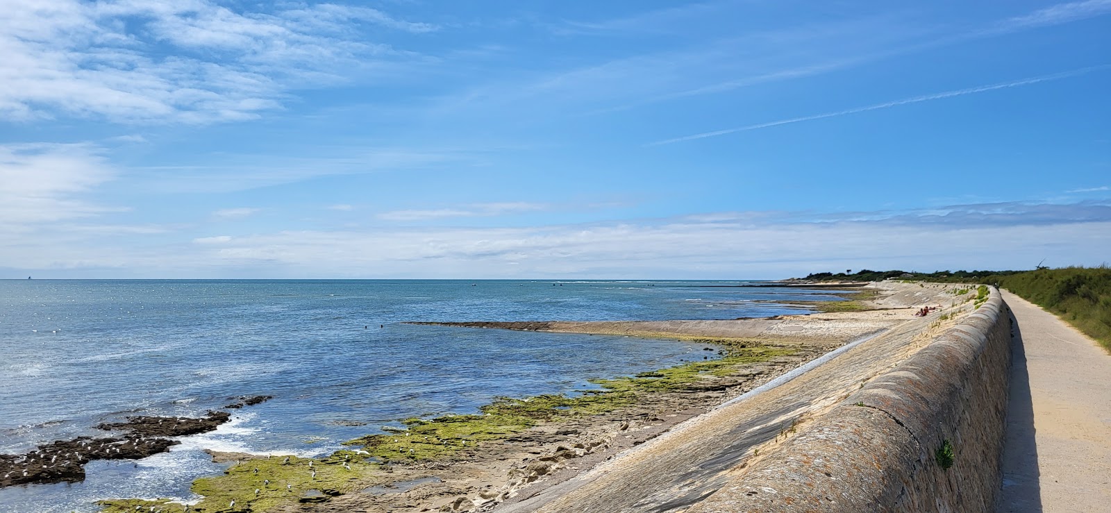 Foto di Plage de la Pointe de Grignon con una superficie del sabbia beige