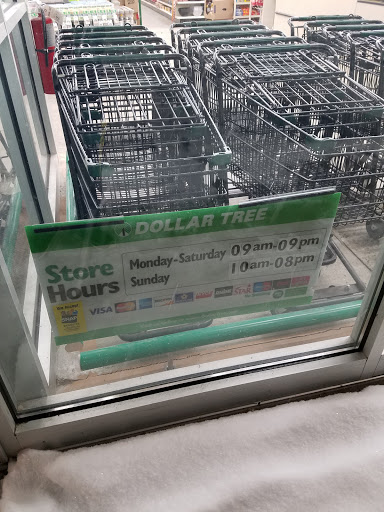 Dollar Store «Dollar Tree», reviews and photos, 11236 S Saginaw St A, Grand Blanc, MI 48439, USA